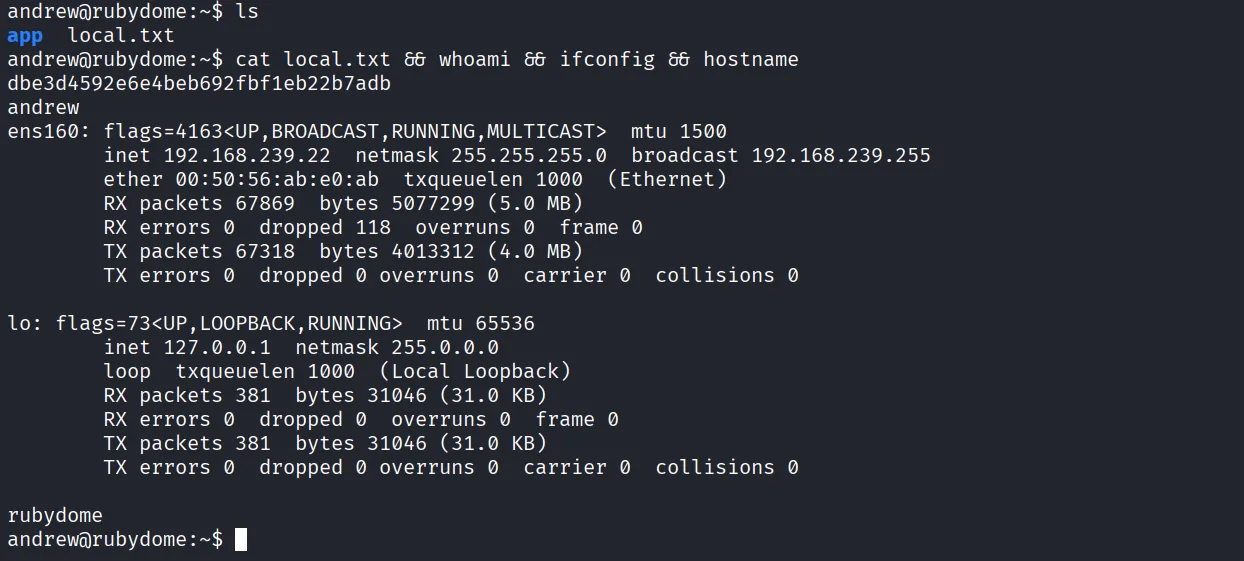 RubyDome walkthrough, Got reverse shell as andrew, screenshot 6