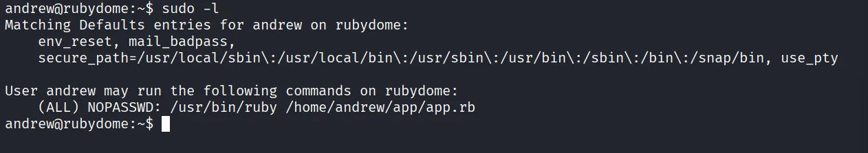 RubyDome walkthrough, Got reverse shell as andrew, screenshot 7