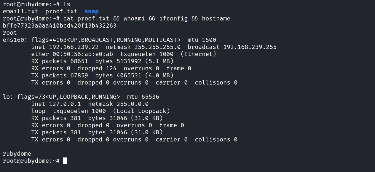RubyDome walkthrough, Got reverse shell as andrew, screenshot 9