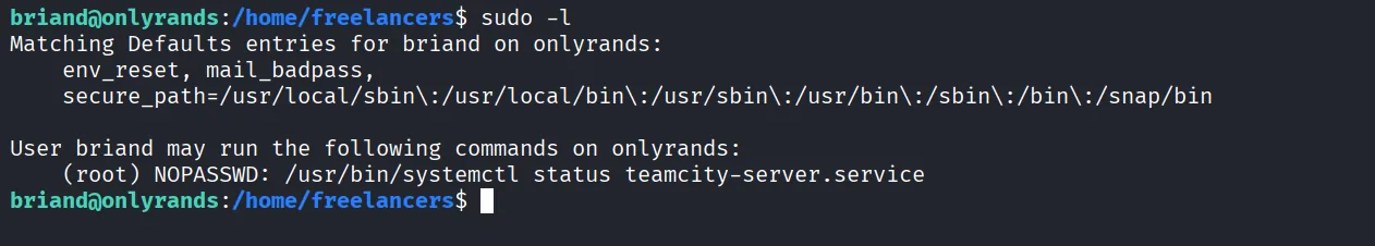 SCRUTINY walkthrough, Got root, screenshot 13
