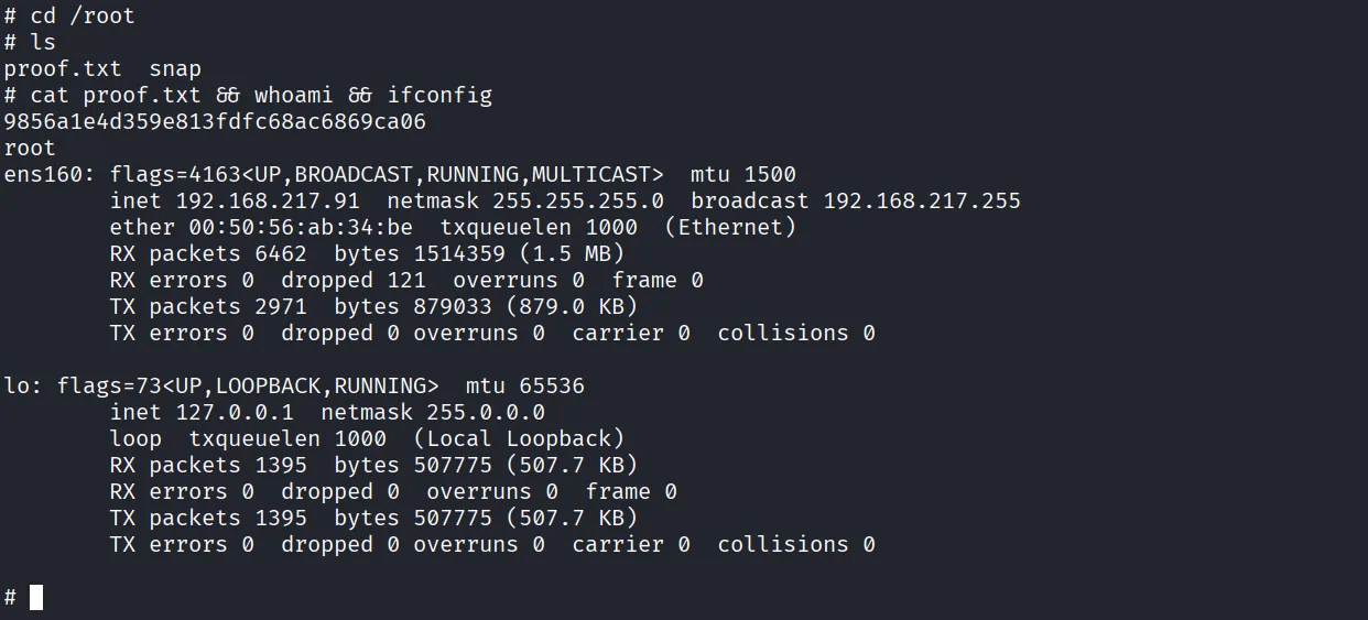 SCRUTINY walkthrough, Got root, screenshot 16