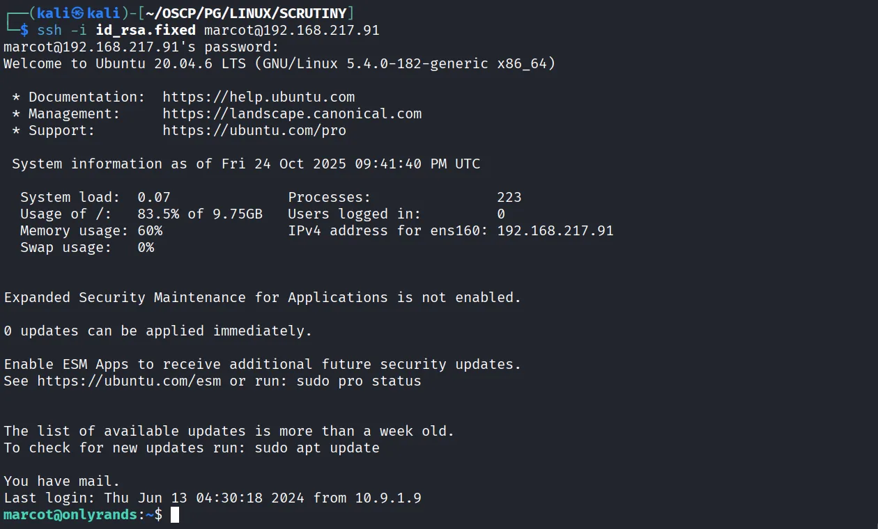 SCRUTINY walkthrough, Got root, screenshot 8
