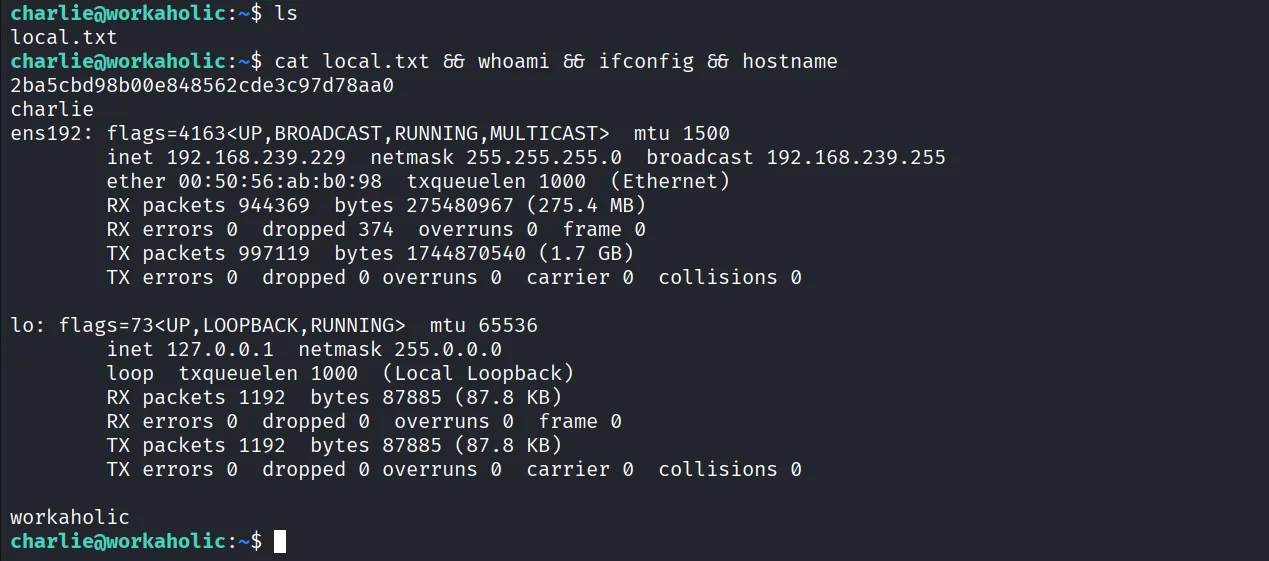 Workaholic walkthrough, Got root, screenshot 7