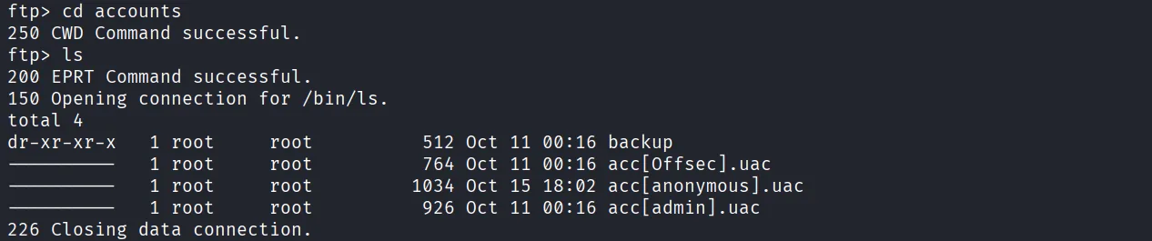 Authby walkthrough, Got reverse shell using nc, screenshot 2