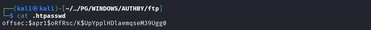 Authby walkthrough, Got reverse shell using nc, screenshot 5