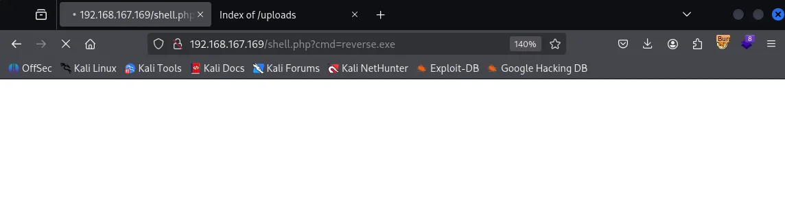 Craft walkthrough, Got the reverse shell, screenshot 8