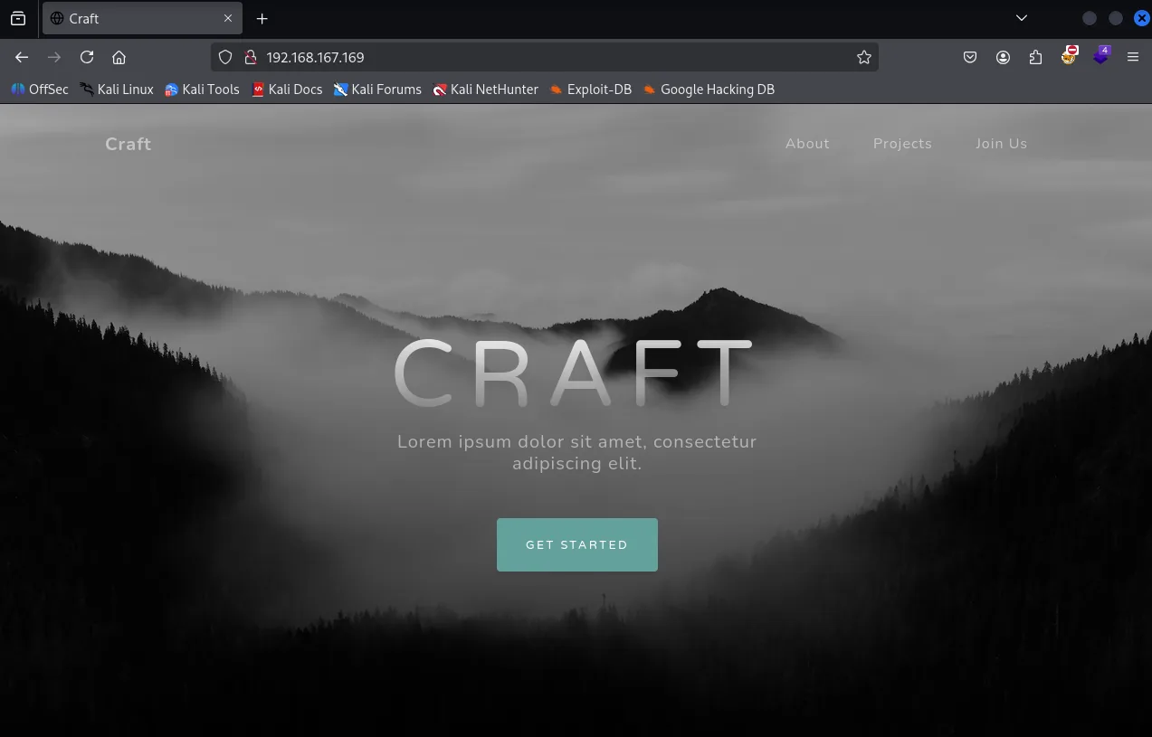 Craft walkthrough, Got the reverse shell, screenshot 1