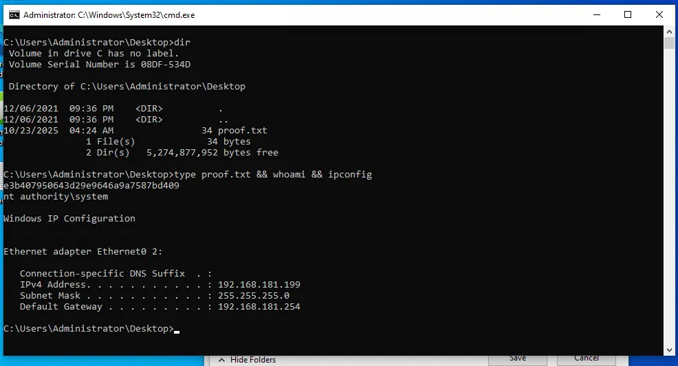 Mice walkthrough, Got reverse shell, screenshot 11
