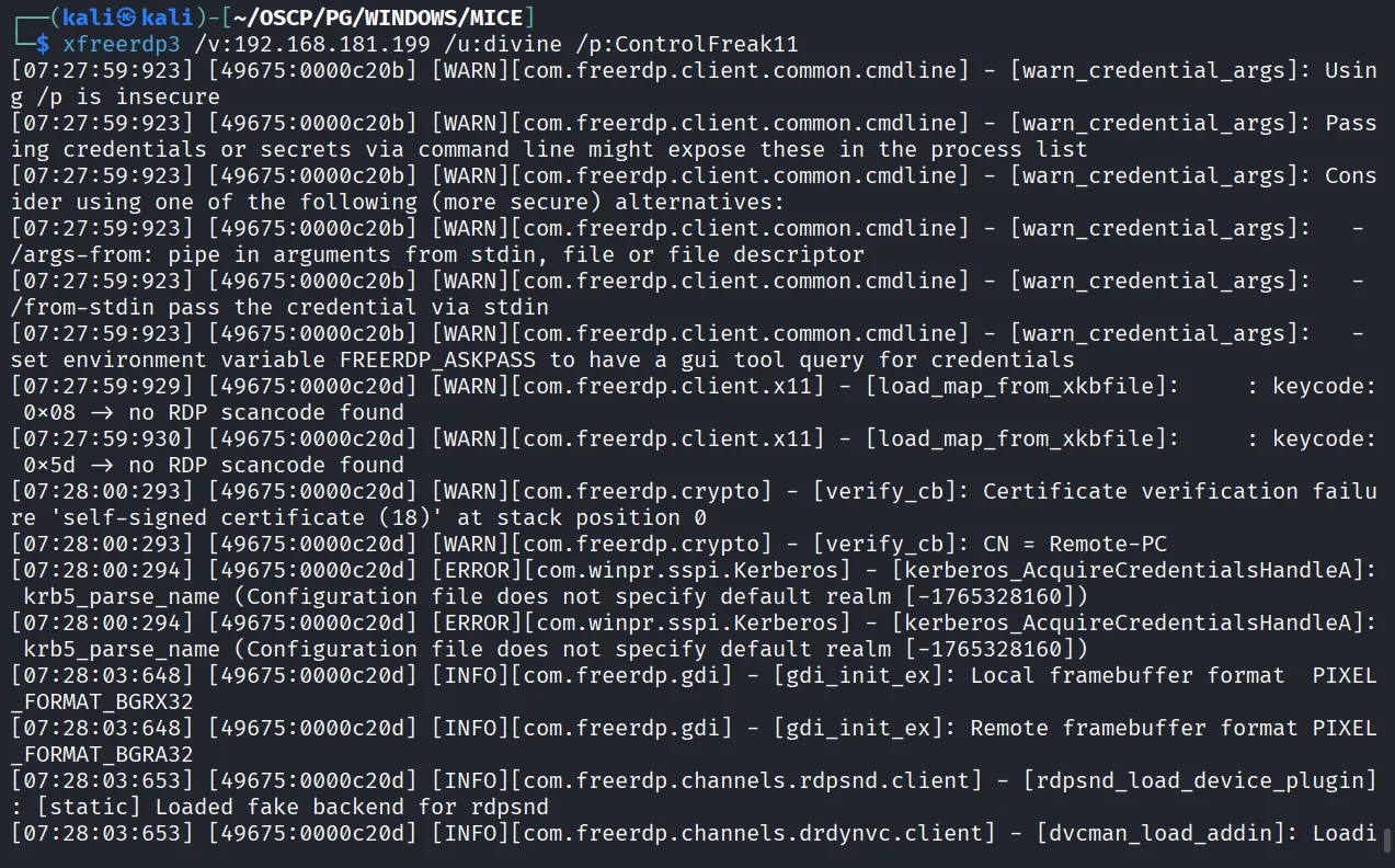 Mice walkthrough, Got reverse shell, screenshot 6