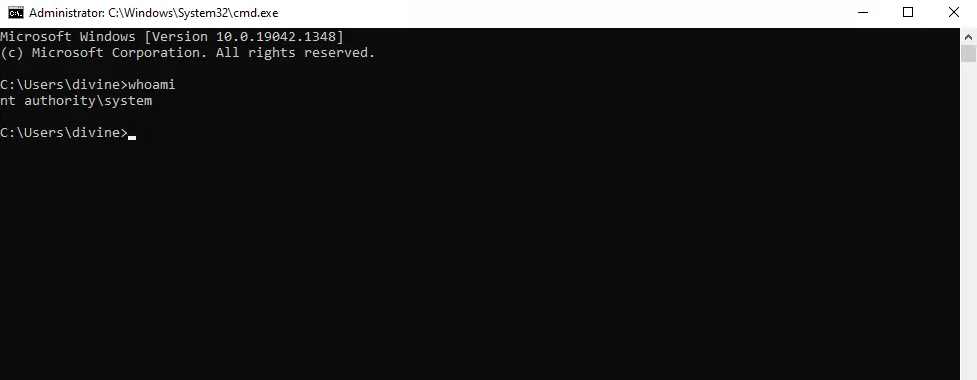 Mice walkthrough, Got reverse shell, screenshot 10