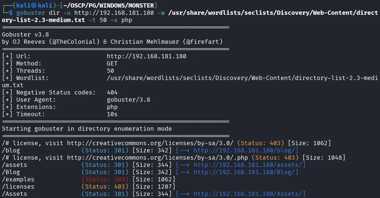 Monster walkthrough, Got shell as administrator, screenshot 1