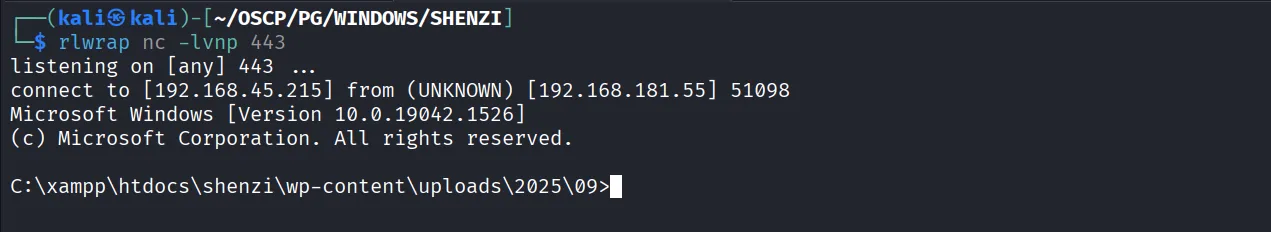 Shenzi walkthrough, Nmap output, screenshot 10