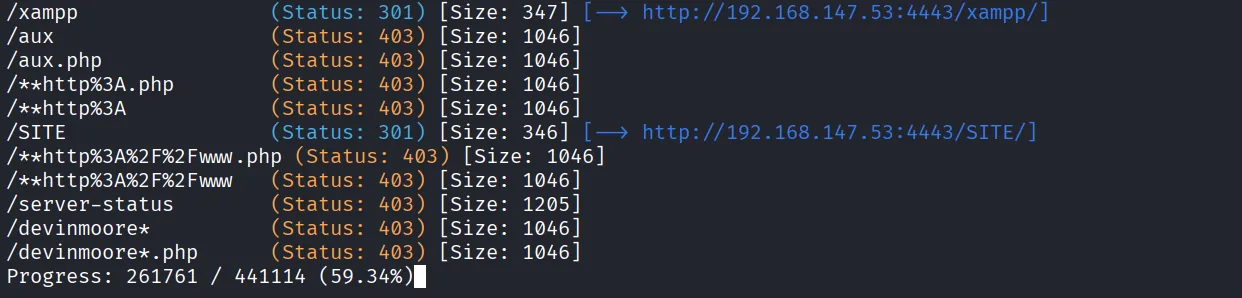Slort walkthrough, Got reverse shell as administrator, screenshot 2