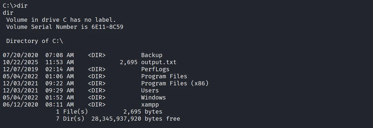 Slort walkthrough, Got reverse shell as administrator, screenshot 11