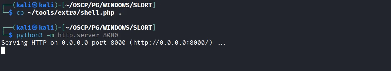 Slort walkthrough, Got reverse shell as administrator, screenshot 6